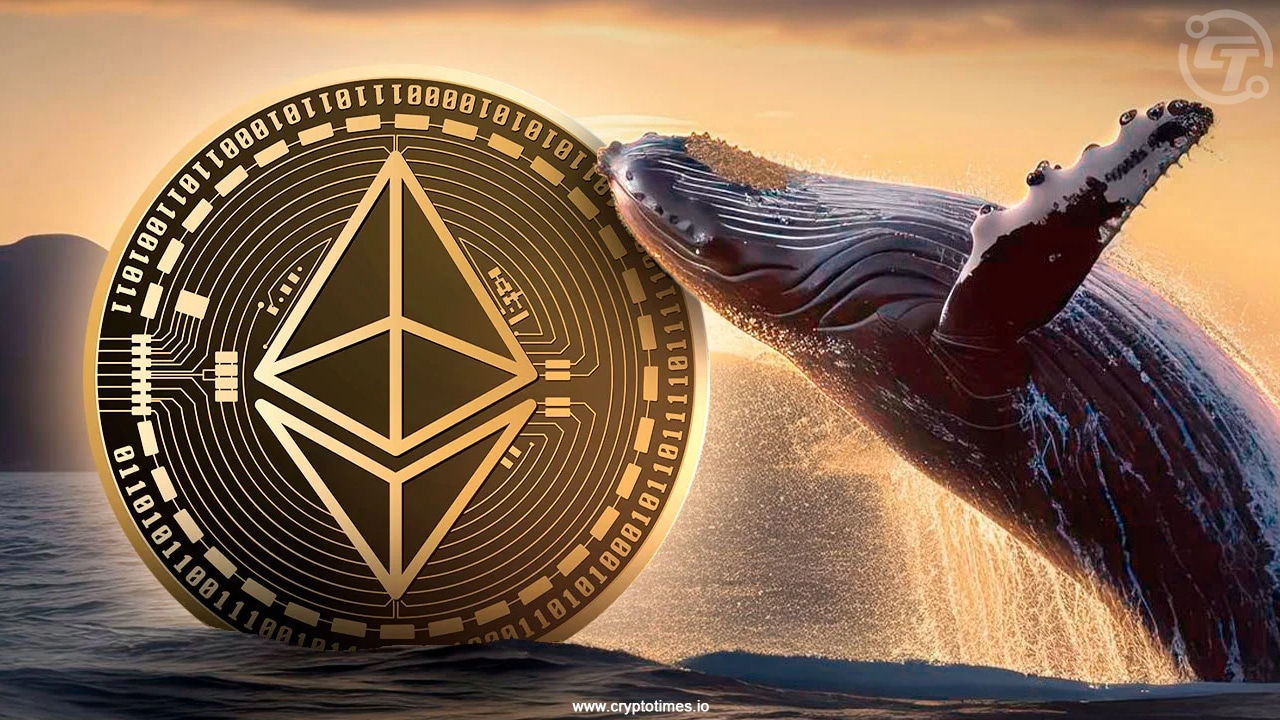 ICO Whale Offloads 19,000 ETH as Ethereum Prices Plummet ICO Whale Offloads 19,000 ETH as Ethereum Prices Plummet