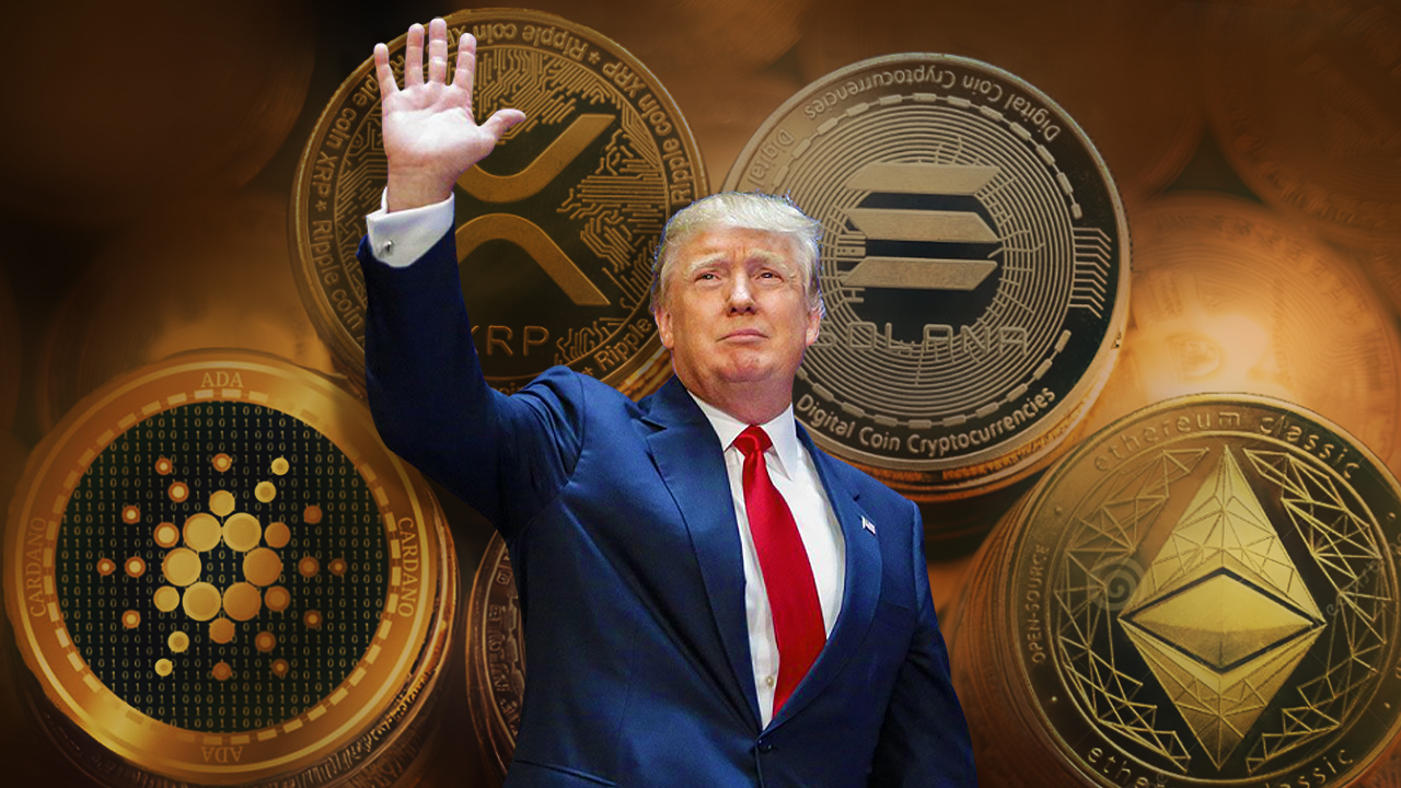 What Other Tokens Stand a Chance? What Other Tokens Stand a Chance?