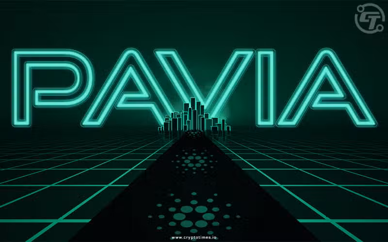Cardano Received First Metaverse Project “Pavia” on its Network