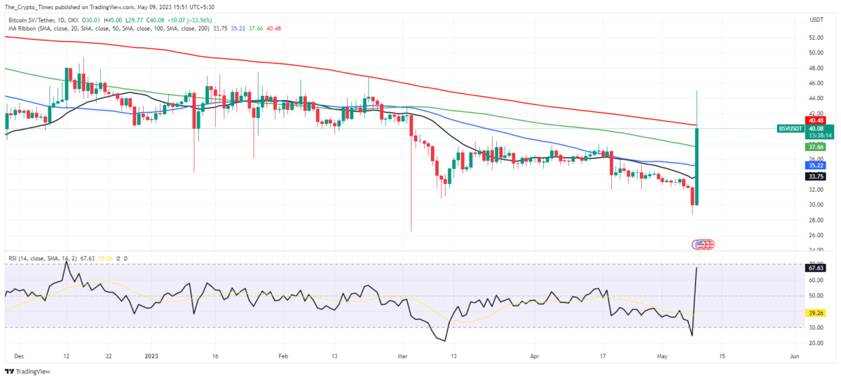 Bitcoin SV, Tether Price Chart