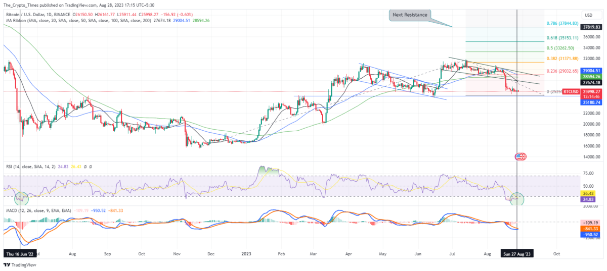 Bitcoin Daily Price Chart Analysis