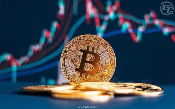 Is September the Month for Bitcoin to Bounce Back