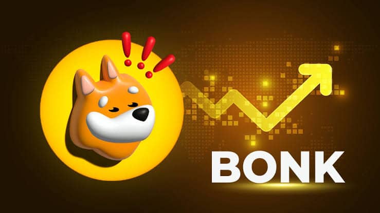 Bonk Pumps Surge by 30% Within a 24-Hour Span