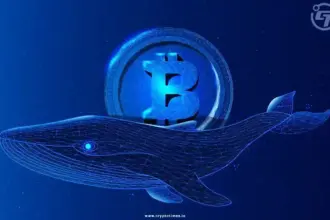 Mysterious Bitcoin Whale Accumulates Over $3 Billion