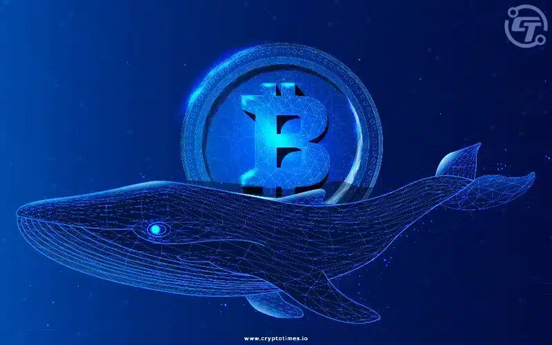 Bitcoin Whales Awaken: Historic Wallet Activity Hints at Volatility