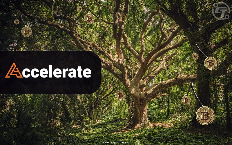 Bitcoin Etf Aims To Reduce Carbon Footprint By Planting Trees