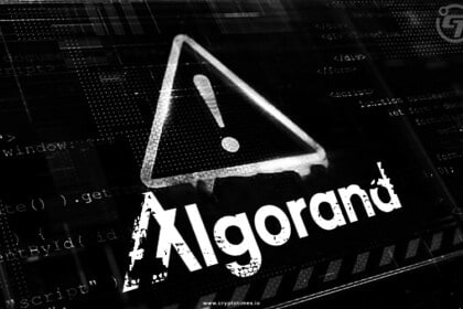 Algorand Foundation CEO's X Account Hacked, Urges Caution