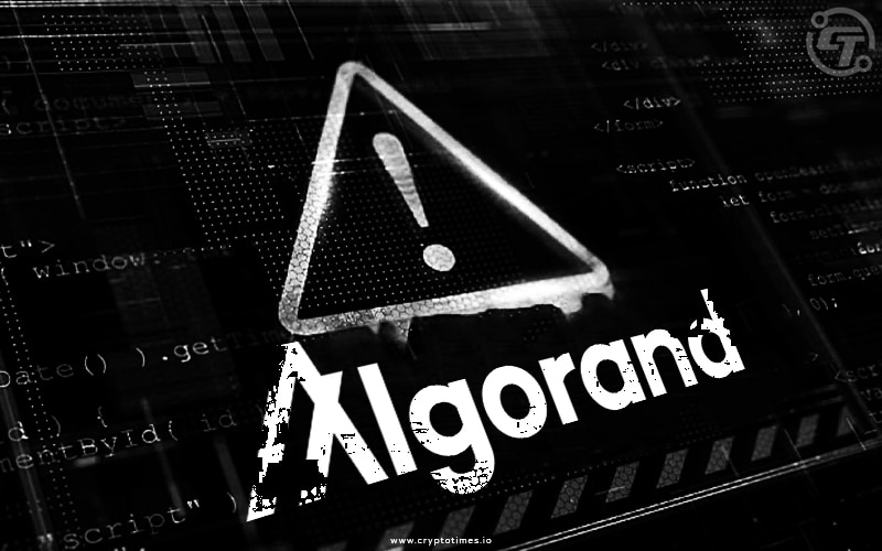 Algorand Foundation CEO's X Account Hacked, Urges Caution