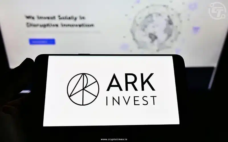 Ark Invest'S 2023 Report Recommends 19.4% Bitcoin Allocation