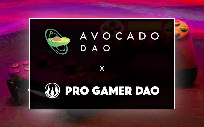 Avocado DAO and Pro Gamer DAO to Grow GameFi Space
