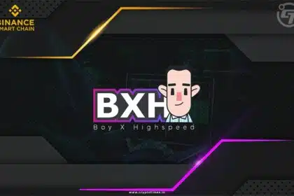 BXH Protocol Becomes Latest Victim of DeFi Hack