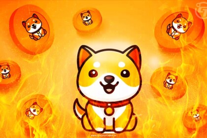 Baby Doge Proposes To Burn 5 Quadrillion Tokens From Supply