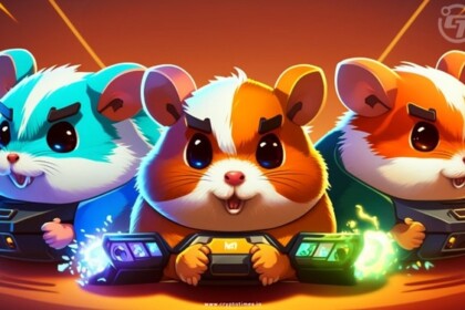 Bet on Hamster Races for Cryptocurrency Fortune