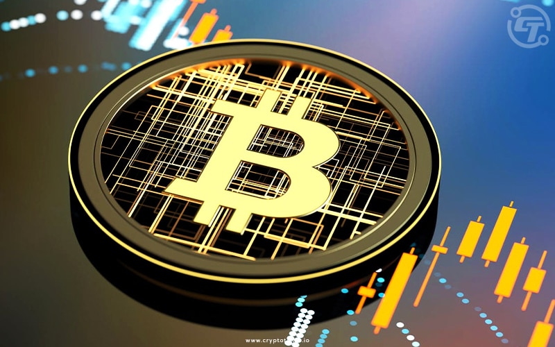 BTC Investor Confidence Holds Strong Amid Market Volatility