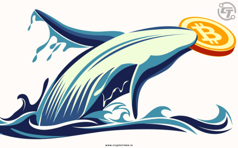 Dormant Bitcoin Whale Awakens With $56M Transfer