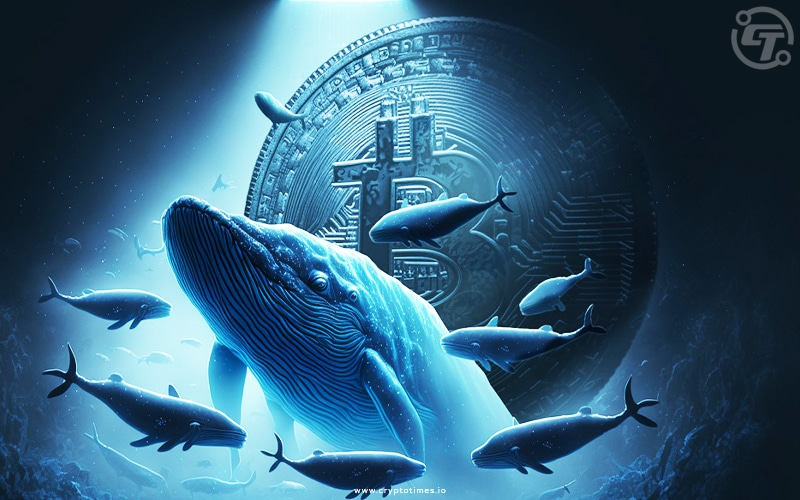 Bitcoin Whales Increase Holdings by $3 Billion in January