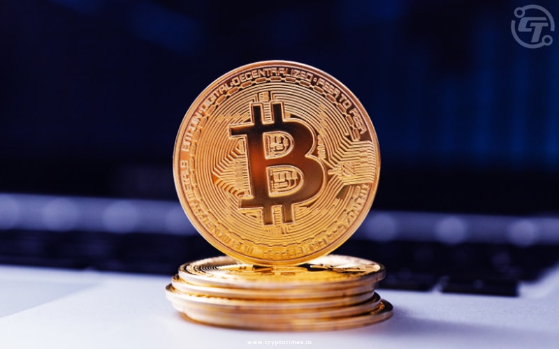 Warning Signs: Bitcoin Price (BTC) Nears Critical Point, Bloodbath Looms