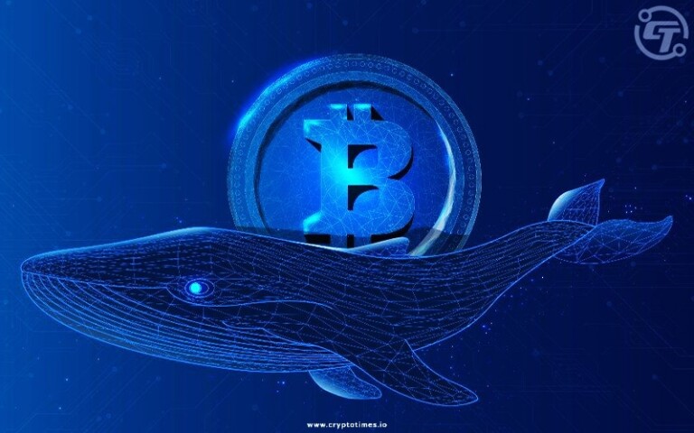 Huge Bitcoin Whale Resurfaces, Shocks Market with $11M Move