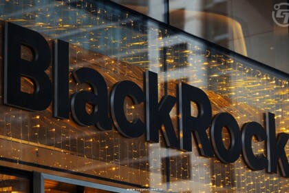 BlackRocks Bitcoin ETF Inflows Climb to Fifth Highest Among All ETFs in 2024