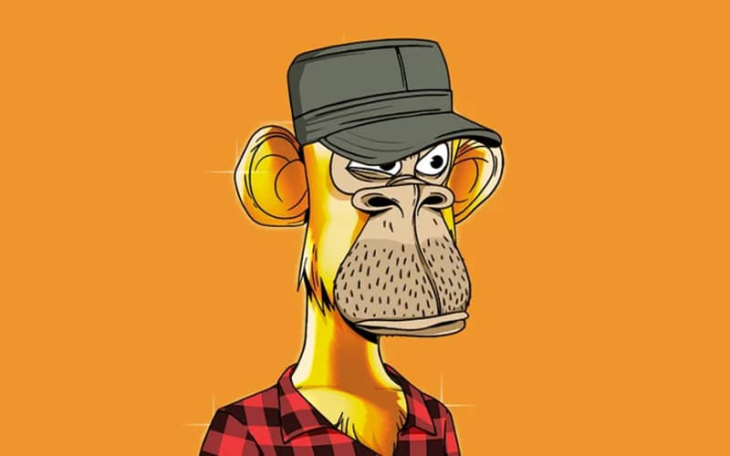 Bored Ape Yacht Club Member Vis.Eth Bought A Gold Fur Primate For 777 Eth Website