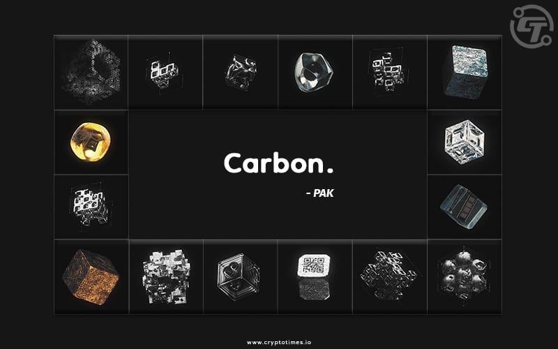 PAK revealed ‘Carbon Tiktok’ to transform NFTs