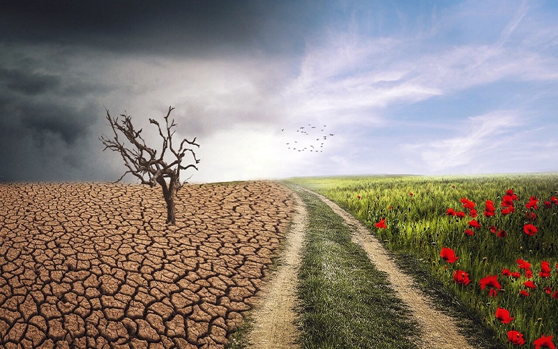 ‘Change The Code Not Climate’ Campaign Demands to Change Bitcoin Code
