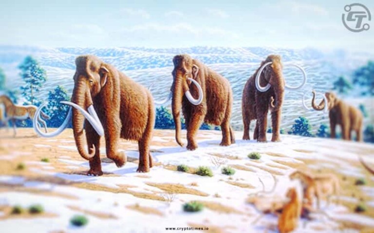 Bitcoin Billionaires Winklevoss Twins Bet Big on Reviving Woolly Mammoths