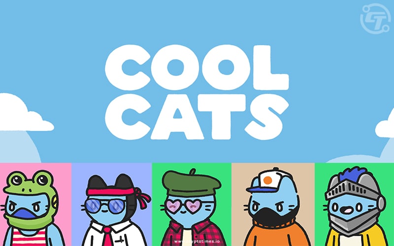 Cool Cats to Rebrand with a New Strategic Direction