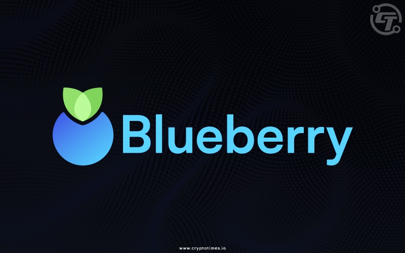 Defi Protocol Blueberry Pause Lending Amid Mystery Exploit