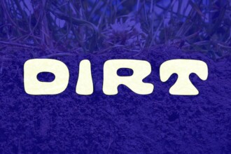 Dirt Closes $1.2 Million In Funding To Build Web3 Ecosystem