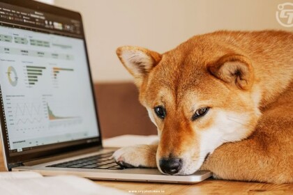 Dogecoin Takes Downturn After Twitter Restores Iconic Logo