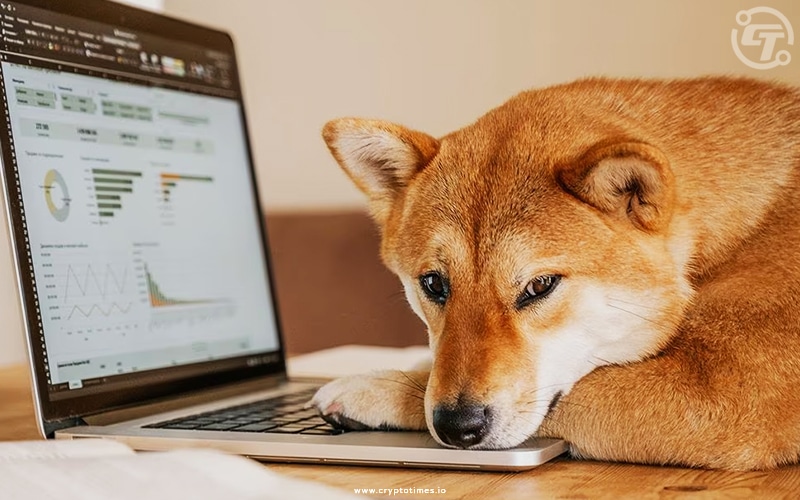Dogecoin Takes Downturn After Twitter Restores Iconic Logo