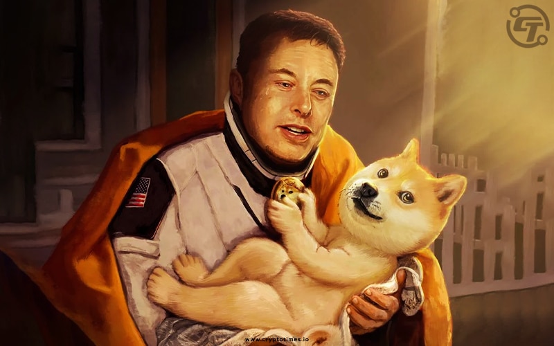 Dogecoin Investors Accuse Elon Musk of Market Manipulation