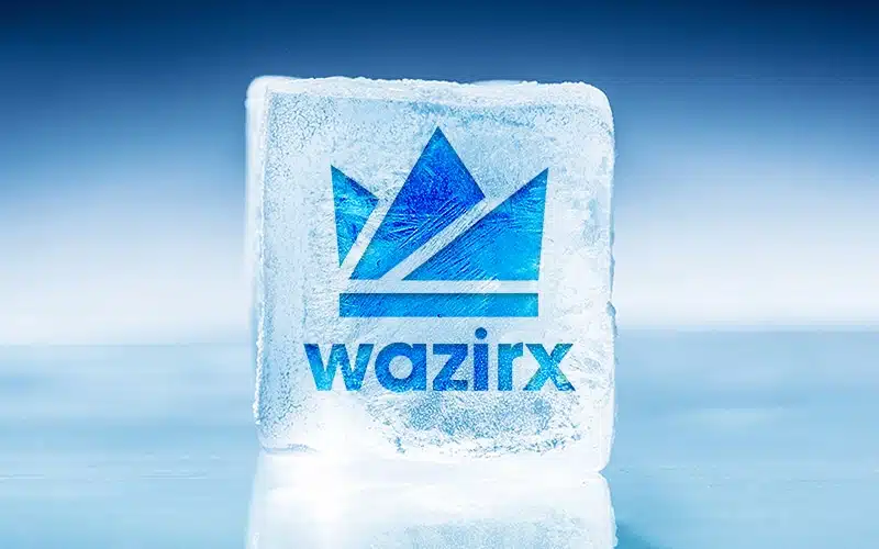 ED Freezes Bank Accounts of WazirX Worth Rs 64.67 Crore
