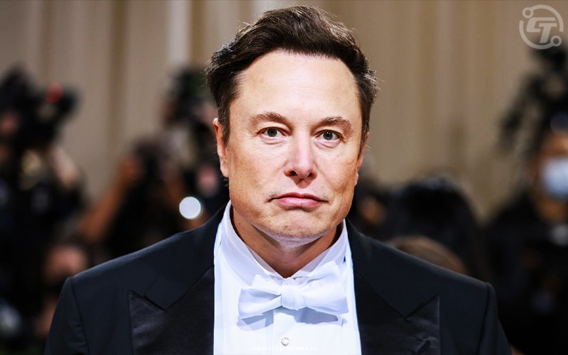 Elon Musk Slams NFTs Saying Its Just URL to JPEG