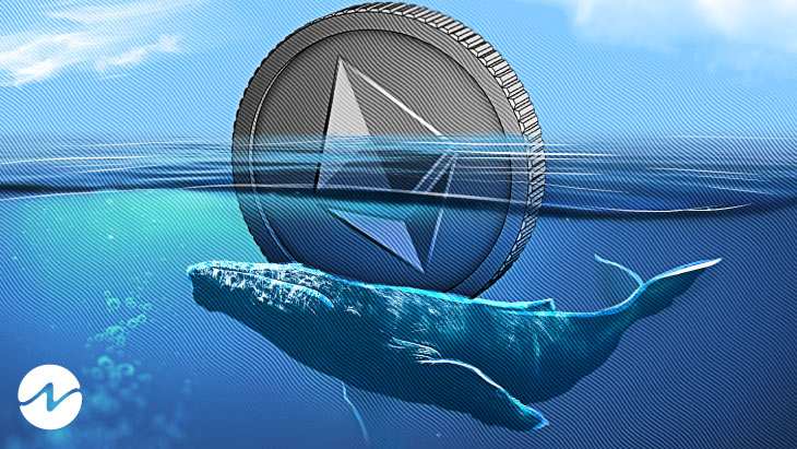 Whale Activity Surges Amid Ethereum Price Increase 