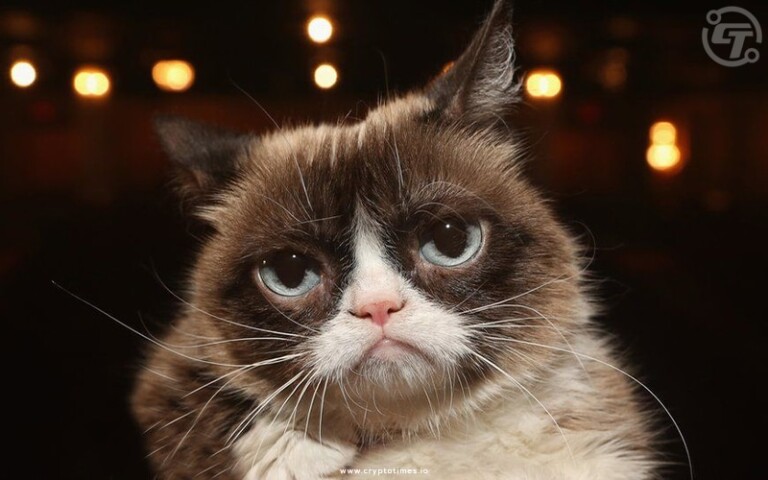 Copyright Wars in NFTs: Grumpy Cat Makes Its Move