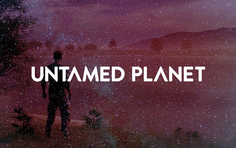 Animoca and Untamed Planet Collaborates for Nature Metaverse