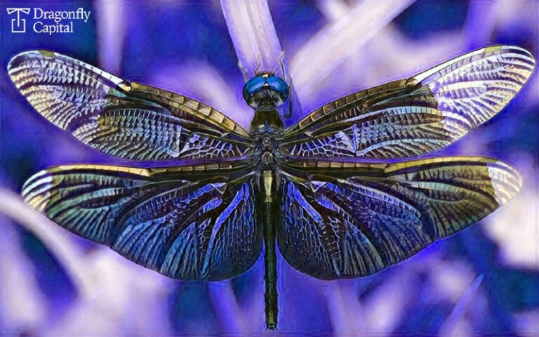 Dragonfly Acquires MetaStable Capital