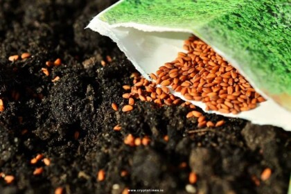 Jharkhand Implements Blockchain for Farmer Seed Distribution