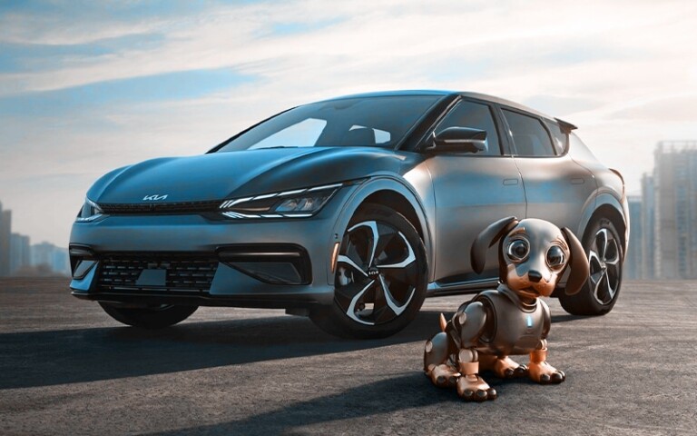 KIA NFTs Find Homes for Over 22,000 Shelter Animals