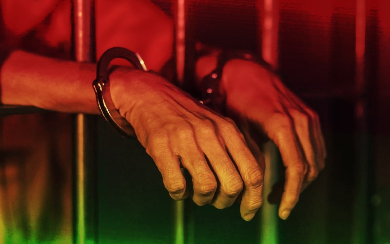 Crypto King Arrested On Fraud Charges In Canada