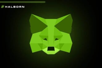 Metamask Releases Data On Extension Disk Encryption Issue