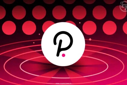 Polkadot Q4: Parachains Boom, Network Stays Secure