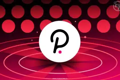 Polkadot Q4: Parachains Boom, Network Stays Secure