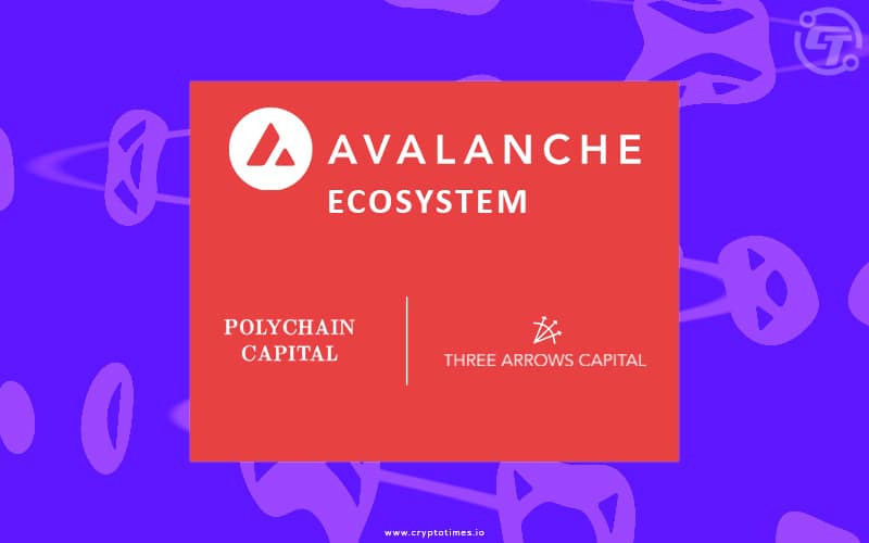 Polychain, Three Arrows Capital Raised $230M Investment In Avalanche