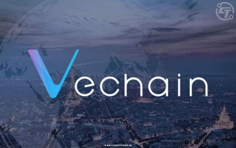 Price Analysis On New All Time High of Vechain