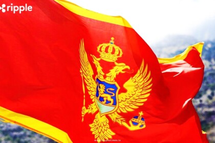 Montenegro Petitions Against Do Kwon Extradition