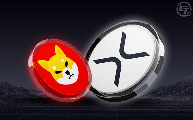 Ripple(XRP) Takes the Lead Over Shiba Inu in Google Search