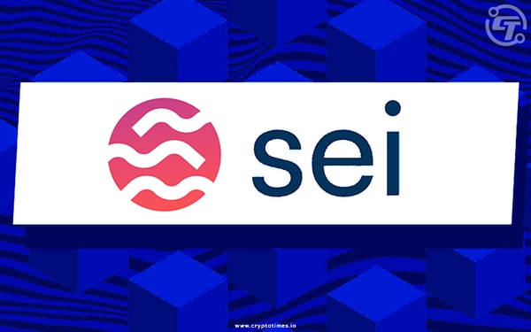 SEI Network Logo
